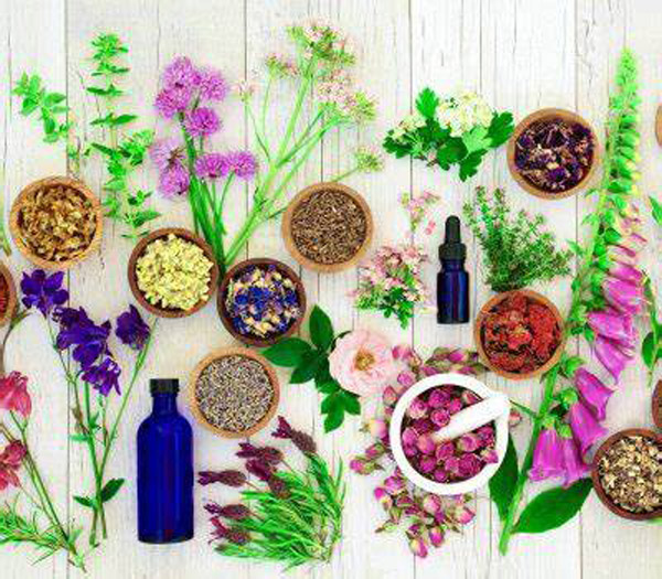 Bach Flower Remedies